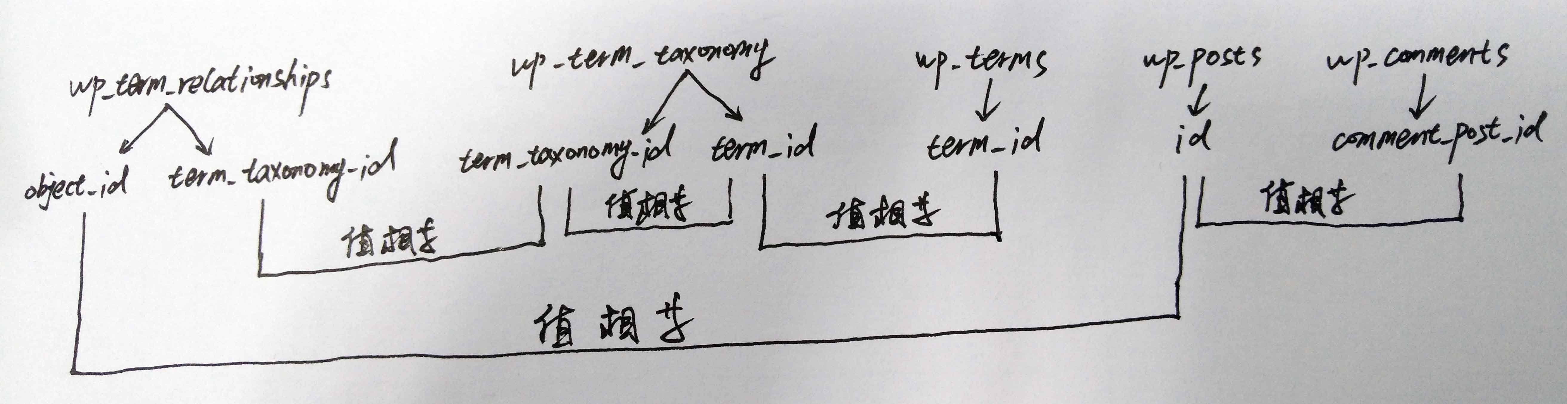 wordpress数据库关系